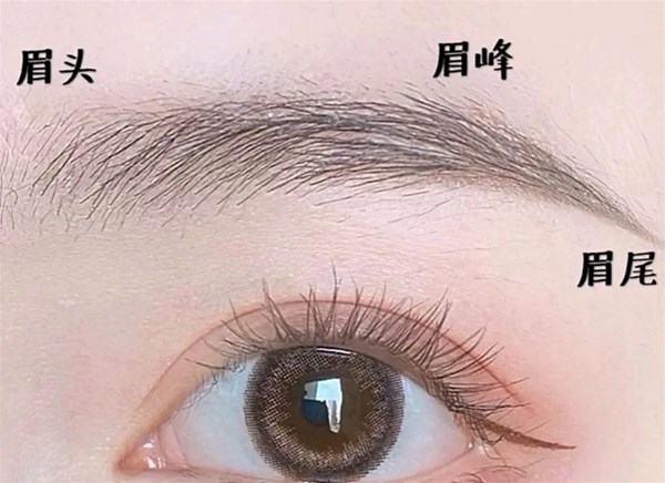 怎样让眉型立体化呢?
